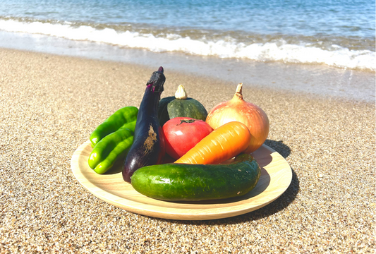 本日、淡路島産規格外野菜通販サイト seaside grocery(シーサイドグロサリー)プレオープン!