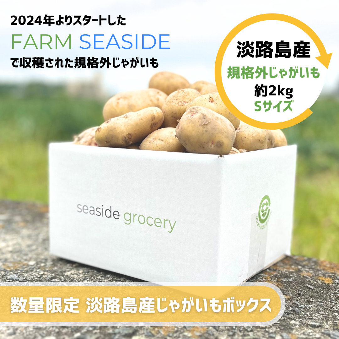 【なくなり次第終了】淡路島産規格外じゃがいも約2kg - Sサイズ（キタアカリ＆メークイン）