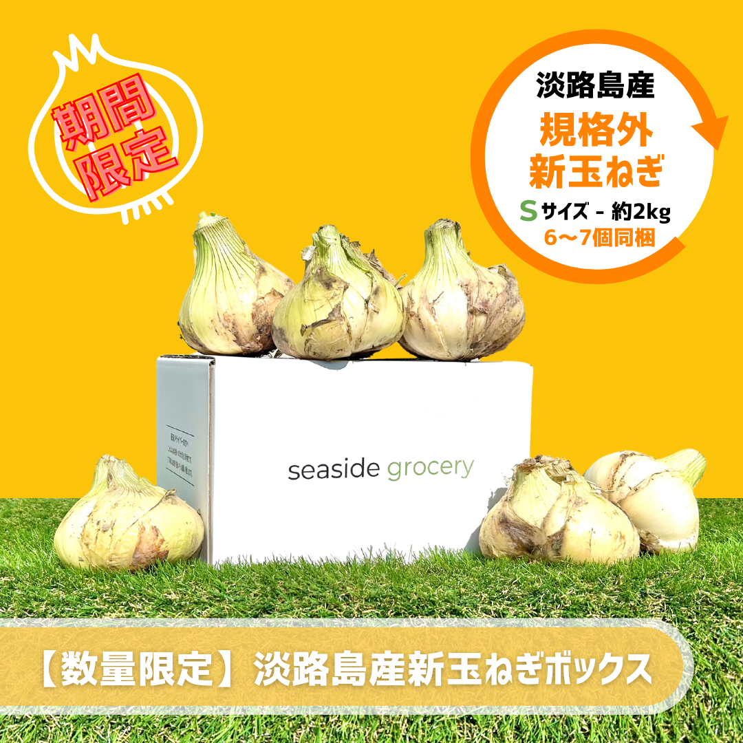 期間限定】淡路島産規格外新玉ねぎ約2kg - Sサイズ（約6～7個前後同梱
