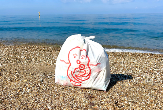 TEAM seasideによるAwaji Beach Clean project（淡路島ビーチクリーン活動）始動！