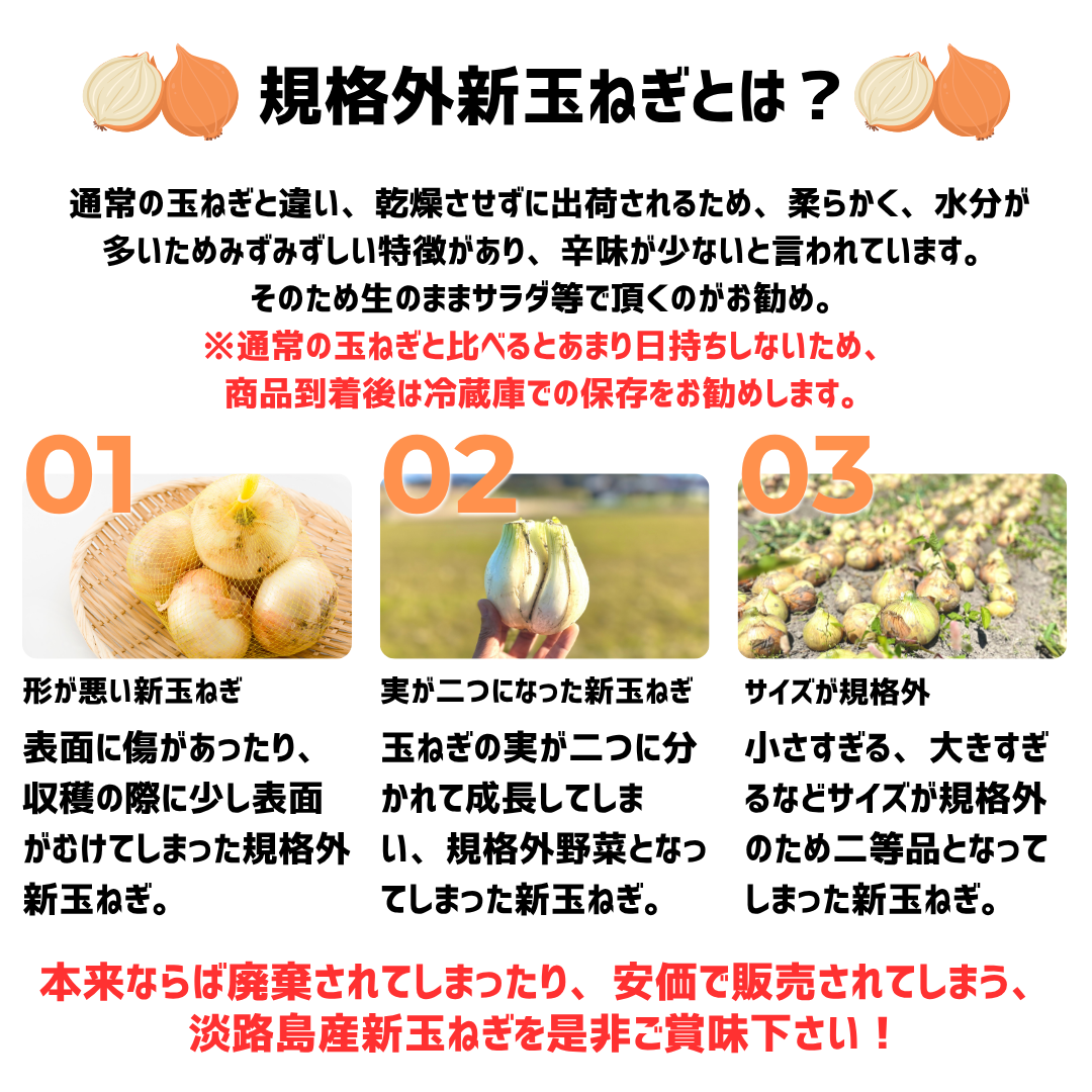 期間限定＞淡路島産規格外新玉ねぎ約10kg - Lサイズ（約30～40個前後