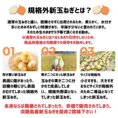 ＜子ども食堂限定＞淡路島産規格外新玉ねぎ約5kg - Mサイズ（約15～20個前後）※送料込