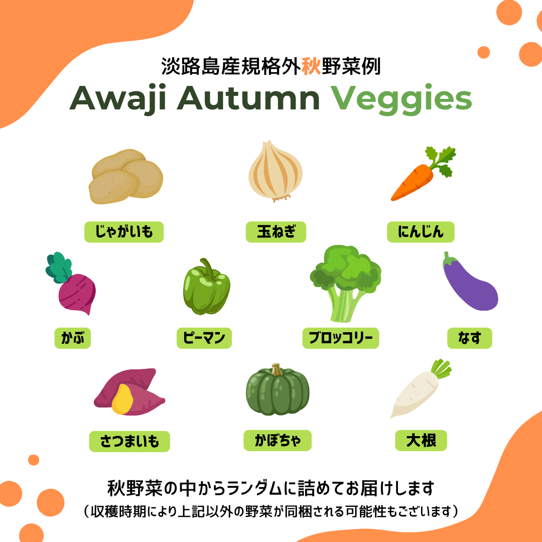 淡路島産規格外野菜ボックス - Lサイズ（4～5人向け）