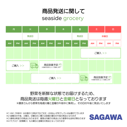 【サブスク（定期購入）】淡路島産規格外野菜ボックス - Lサイズ（4～5人向け）