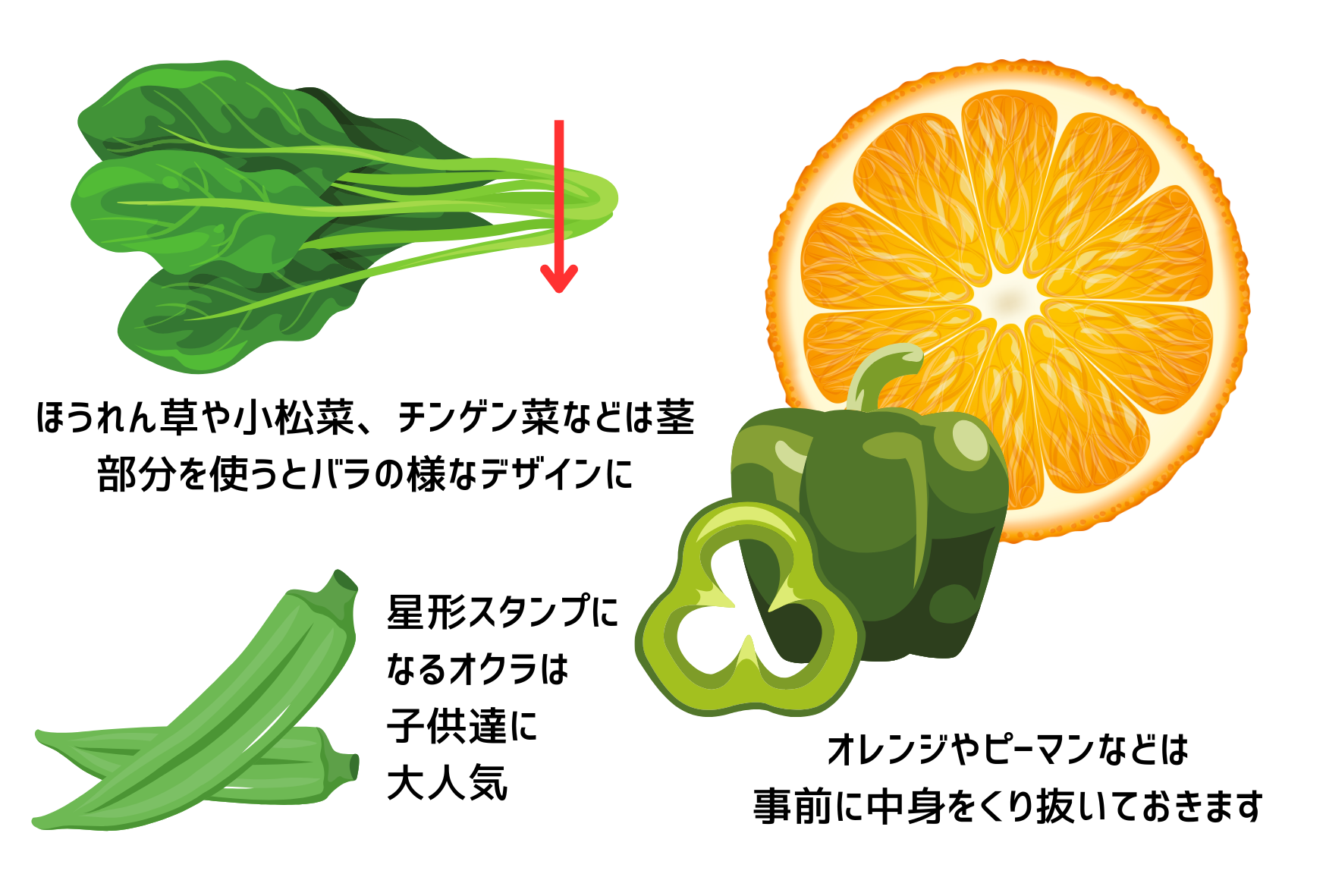 淡路島規格外野菜を使ったお野菜スタンプの作り方 - seaside grocery(シーサイドグロサリー)