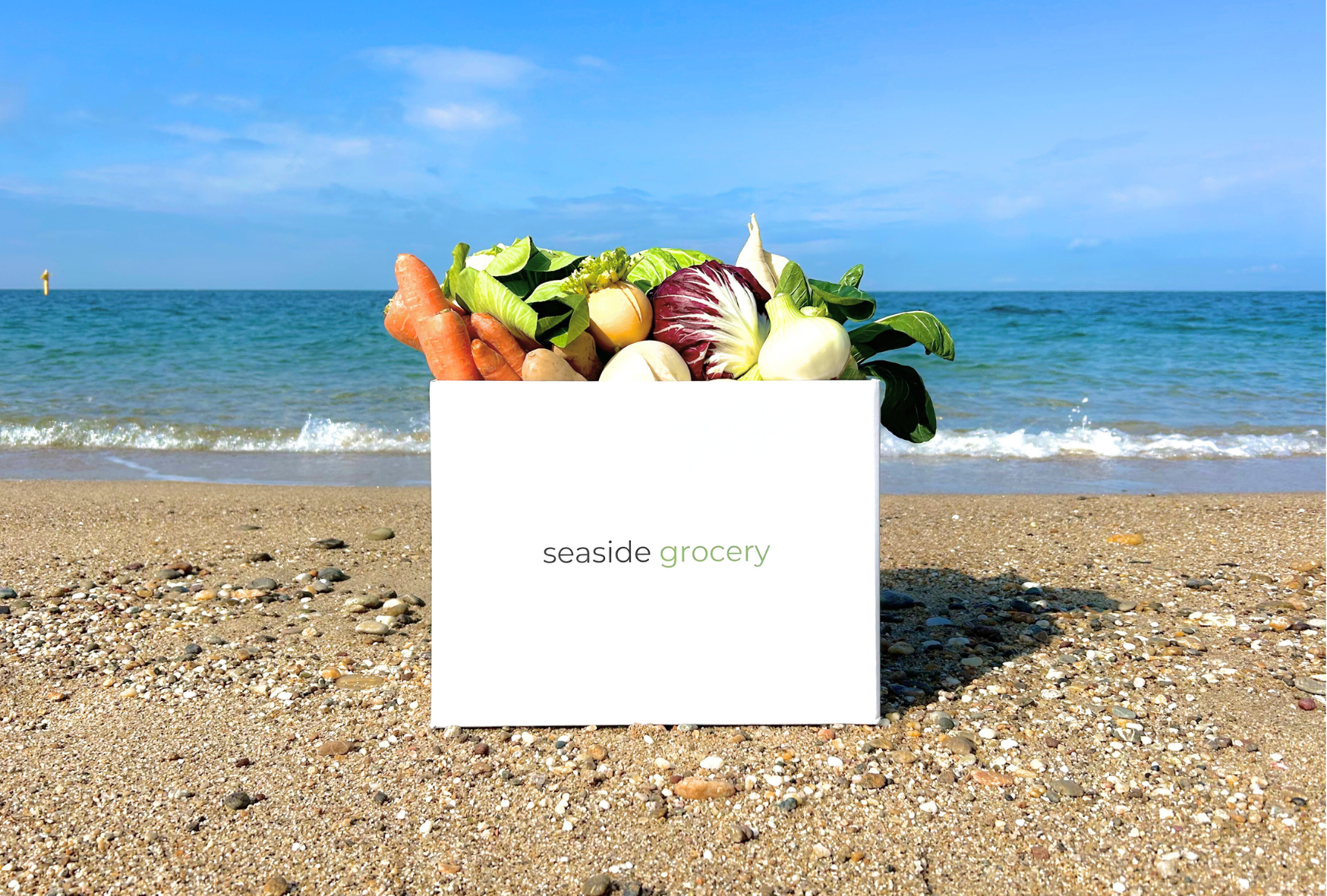 淡路島産規格外野菜ボックスLサイズ - seaside grocery（シーサイドグロサリー）