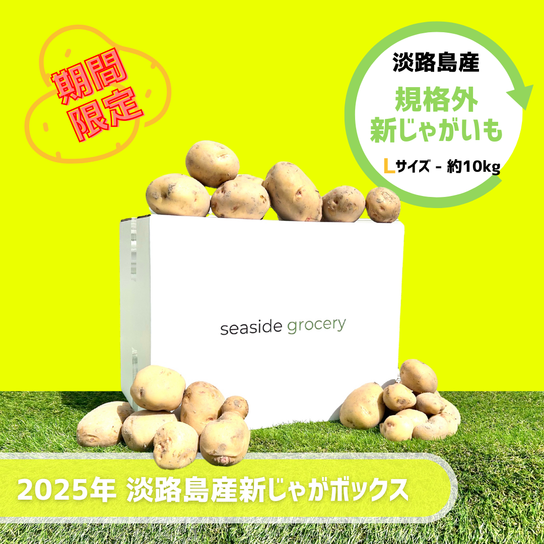 淡路島産規格外新じゃがいも（春じゃが）通販ボックスLサイズ - seaside grocery（シーサイドグロサリー）