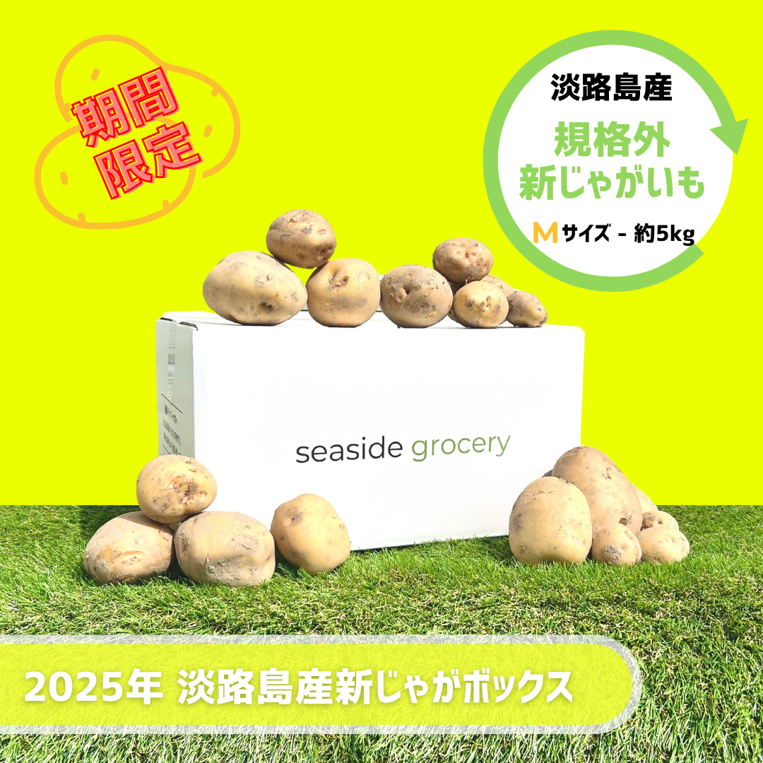 淡路島産規格外新じゃがいも（春じゃが）通販ボックスMサイズ - seaside grocery（シーサイドグロサリー）