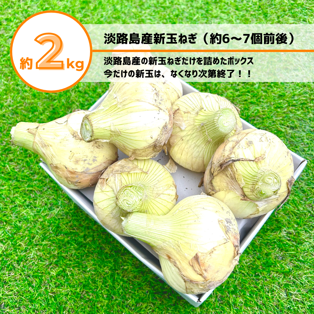 期間限定】淡路島産規格外新玉ねぎ約2kg - Sサイズ（約6～7個前後同梱