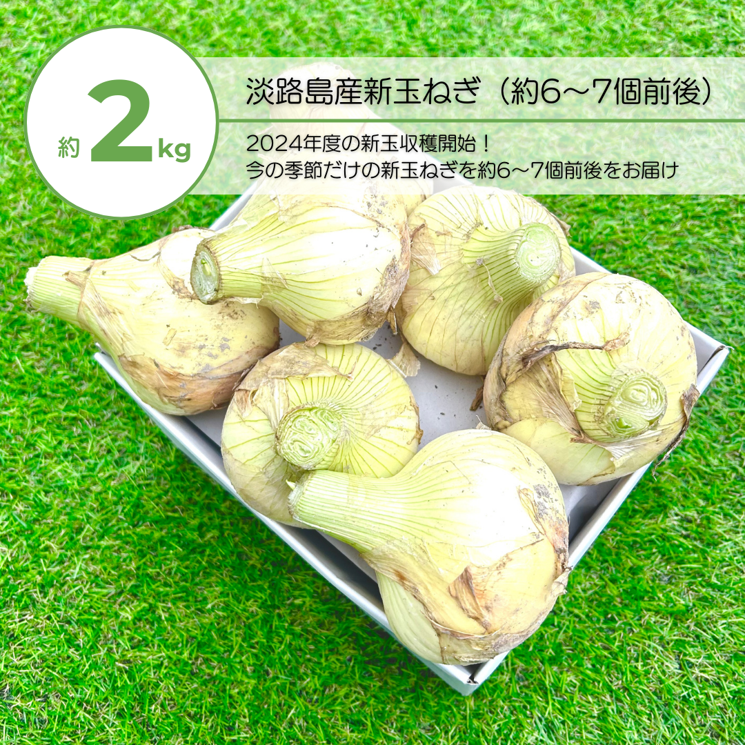 即納豊富なawaji onion 様専用 野菜