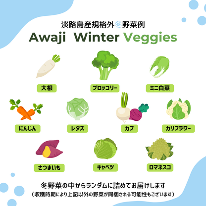 淡路島産規格外野菜ボックス - Sサイズ（お一人様向け）